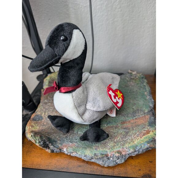 Other - Glider the Canada Goose – TY Beanie Baby – MWMT – 1998 – Retired